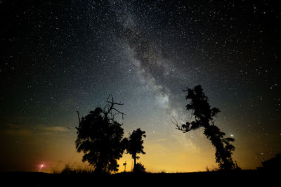 Low angle view of silhouette trees against sky at night