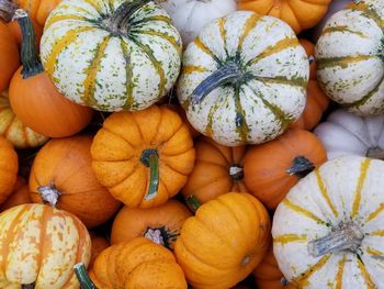 Full frame shot of pumpkins in market