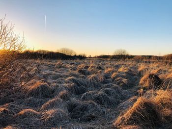 Scenic view of field against clear sky during sunset