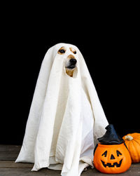 Portrait of woman with jack o lantern against black background