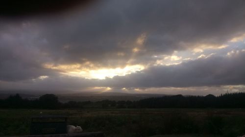 Scenic view of field against sky during sunset