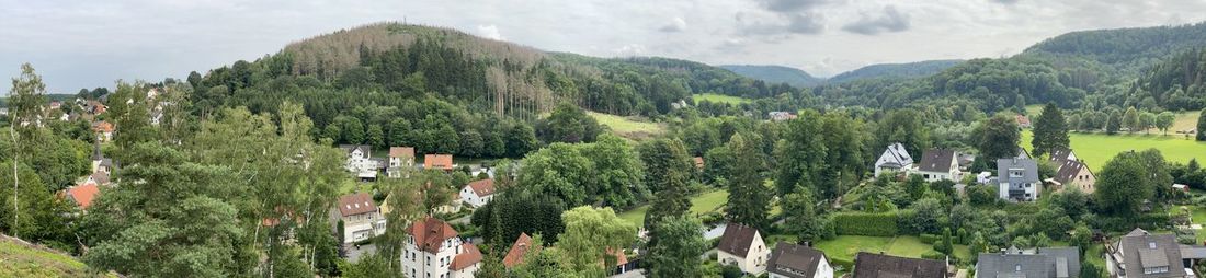Panoramic view of trees and buildings against sky