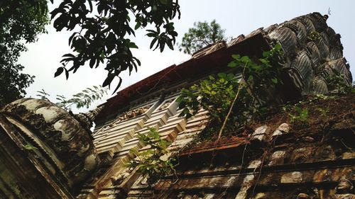 Low angle view of roof and trees against sky