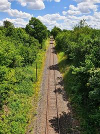 Railroad track amidst trees against sky