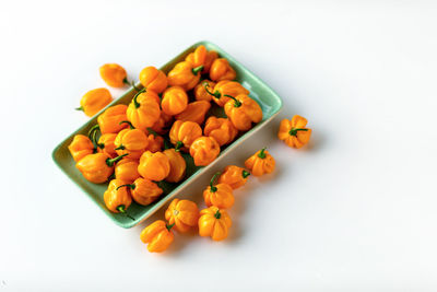 High angle view of vegetables on white background