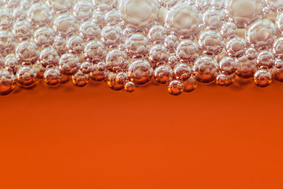 Extreme close-up of beer bubbles