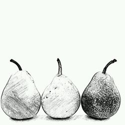 Close-up of over white background