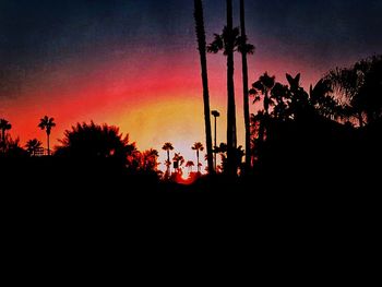 Low angle view of silhouette trees against sky at sunset