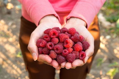 Close-up of hand holding raspberries