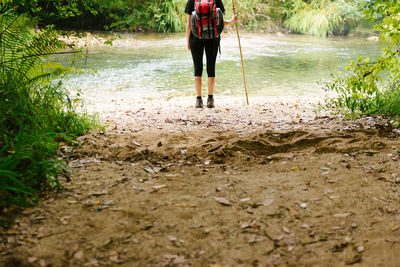 Back view of faceless tourist with backpack and wooden stick standing near clear pond in forest and admiring natural landscape