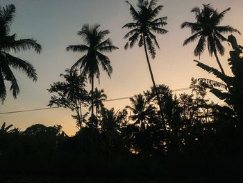 Silhouette palm trees against sky during sunset