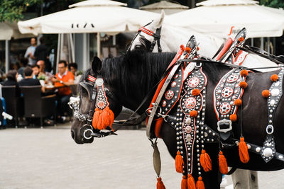 Strained horses with silver and red ornaments