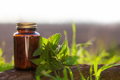 Close-up of glass jar on table