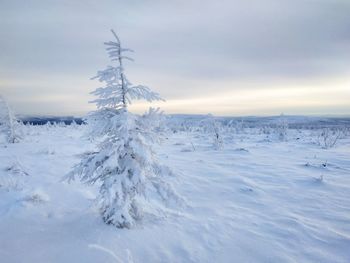 Scenic view of snow covered land against sky