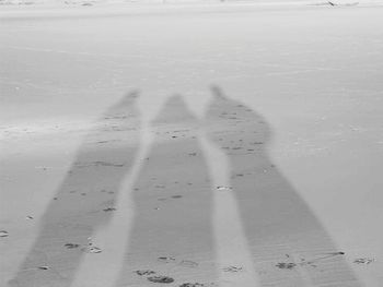 Shadow of person on wet sand