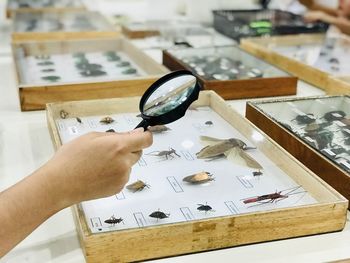 Cropped hand of person holding magnifying glass over insects in container on table