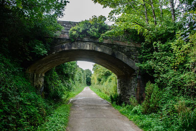 Arch bridge over road amidst trees