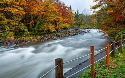 Scenic view of river amidst trees during autumn