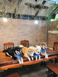 View of two people sitting on seat