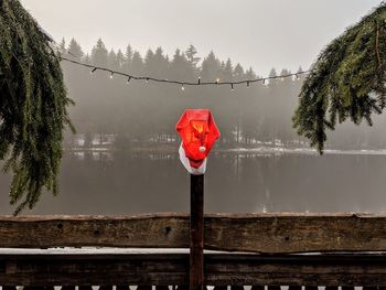 Red trees by lake against sky during rainy season