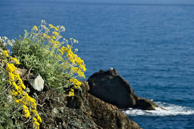 Scenic view of sea and rocks against clear sky