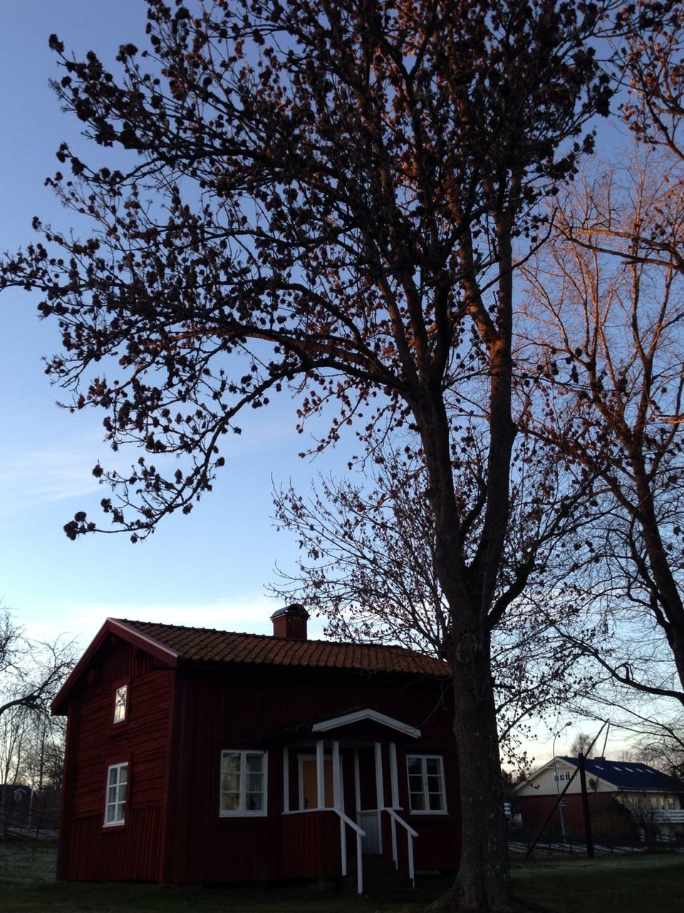 building exterior, architecture, tree, built structure, low angle view, branch, bare tree, sky, house, residential building, residential structure, growth, building, outdoors, day, no people, city, nature, tree trunk, window