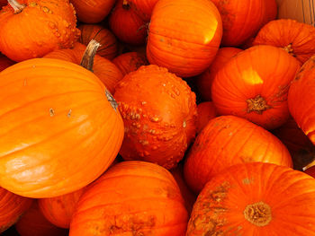 Full frame shot of pumpkins