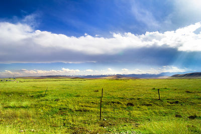 Scenic view of field against sky