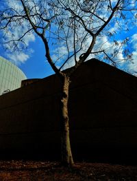 Low angle view of bare tree against sky