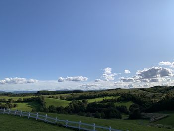 Scenic view of landscape against blue sky