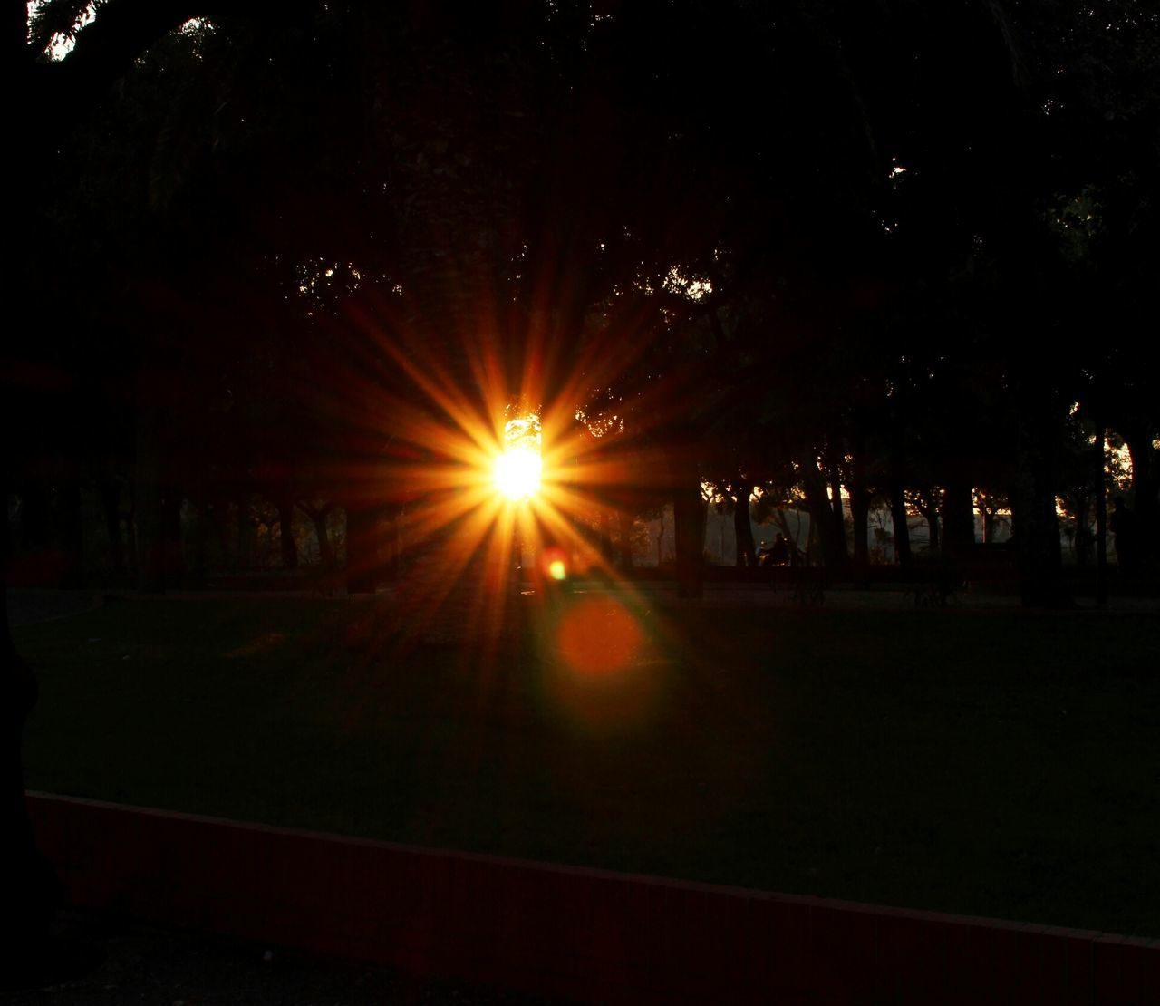 night, illuminated, tree, dark, silhouette, street light, lens flare, lighting equipment, street, light - natural phenomenon, glowing, outdoors, sunlight, tranquility, nature, road, city, no people, sky, the way forward