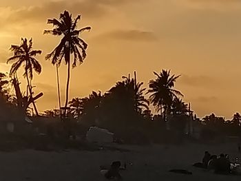 Silhouette of palm trees during sunset