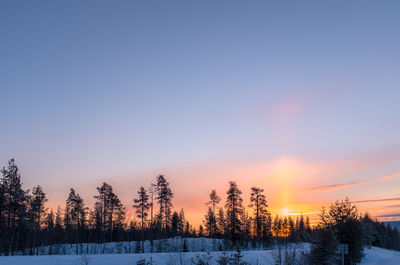 Bare trees on snow field against sky during sunset