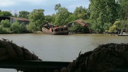 Boat moored by trees against sky