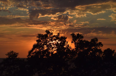 Low angle view of silhouette trees against sky during sunset