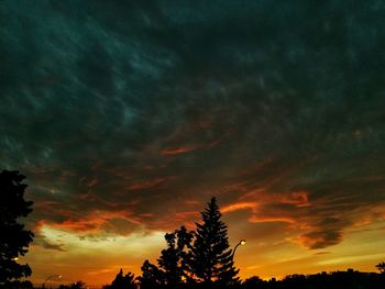 Low angle view of silhouette trees against sky during sunset