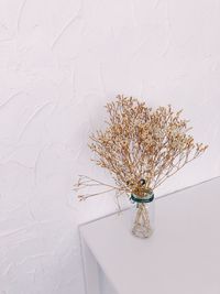 Close-up of vase on table at home