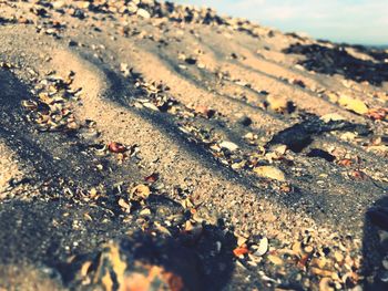 High angle view of sand on beach