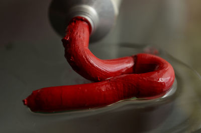 Close-up of red paint spilling from tube