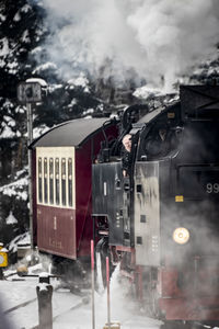 Train on railroad track amidst trees