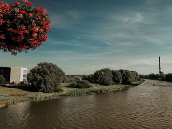 River amidst trees and buildings against sky