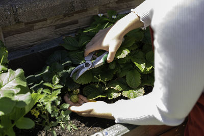 Midsection of young woman gardening at yard