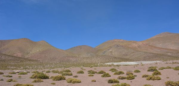 Scenic view of desert against blue sky