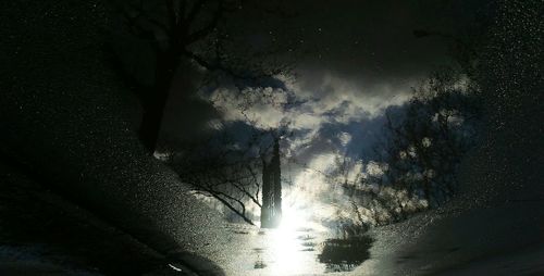 Reflection of trees in water at night