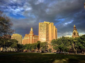 Trees in park with buildings in background