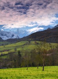 Scenic view of field against sky