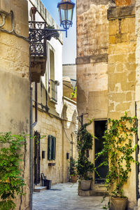 Narrow alley amidst buildings