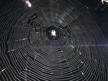 Full frame shot of spider web