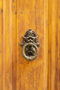 Front view of a vintage brown wooden door with an ornate brass knocker shaped like a fantasy monster