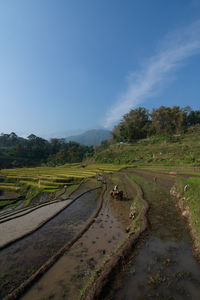 Road amidst field against clear sky